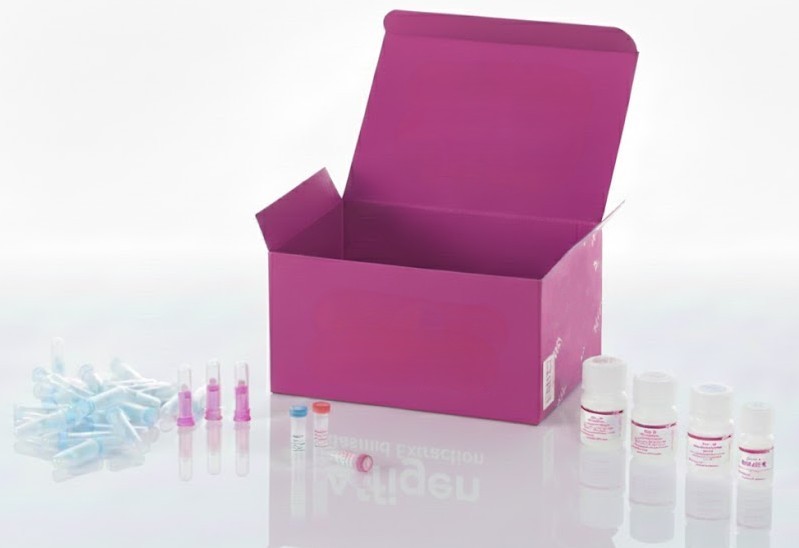 Cáncer de pulmón emparejado con normal, 16 casos en 48 núcleos (2 mm), conjunto 1