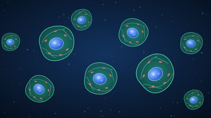 Cytokines and Inflammatory Mediators